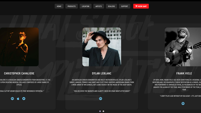 Custom Visual Style and Branding
